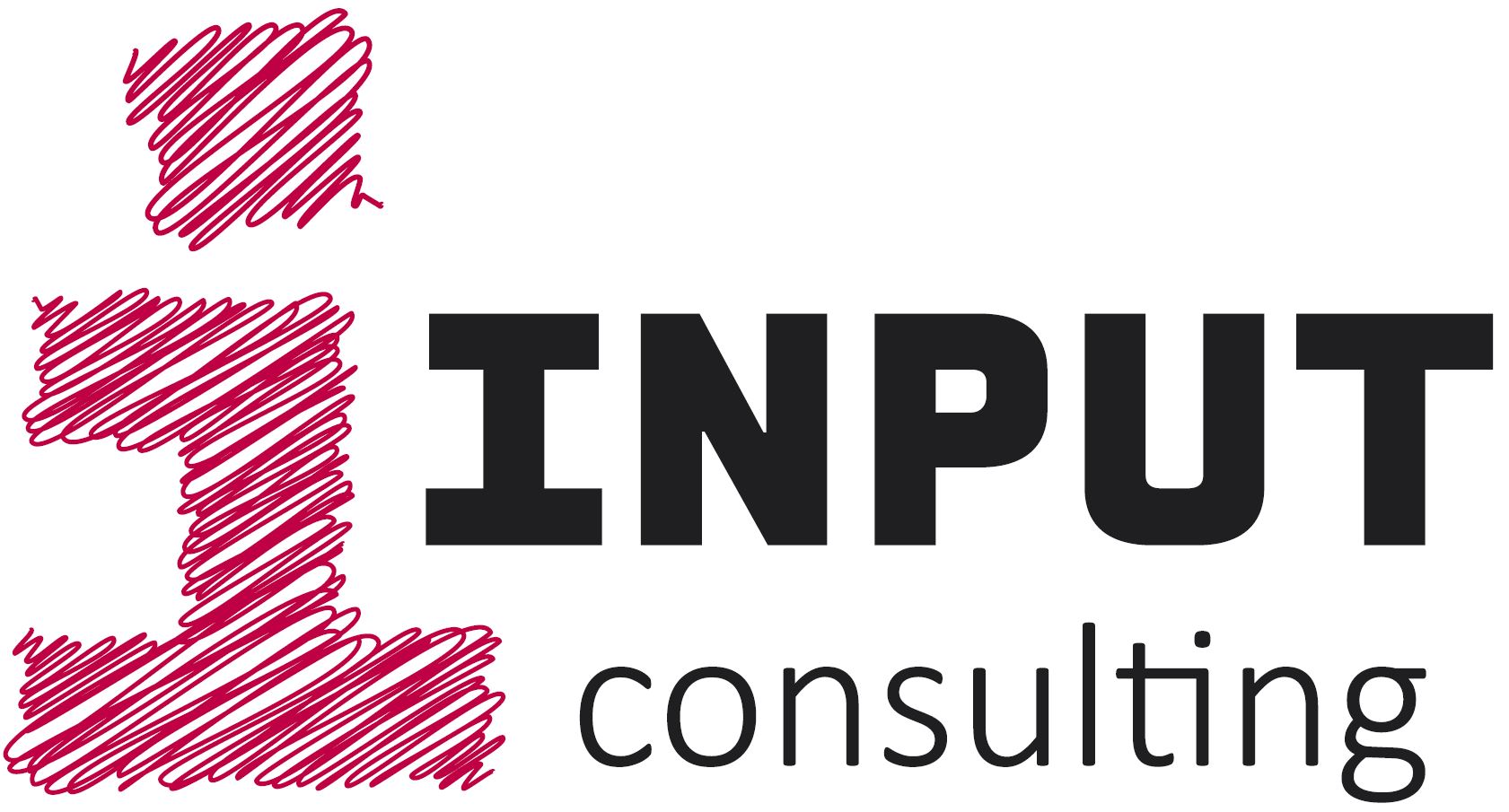 Logo INPUT consulting