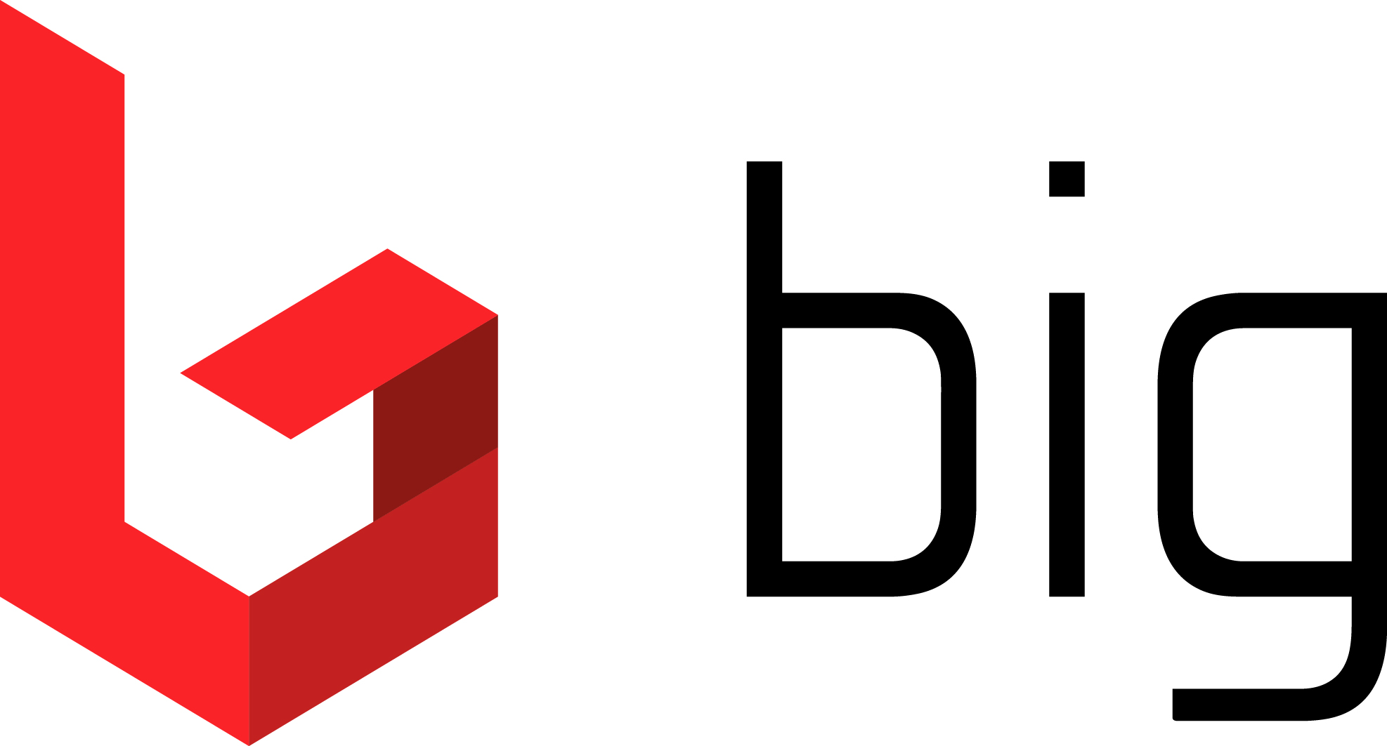 Logo BIG